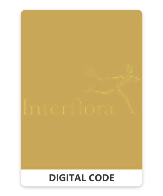 Interflora IT 30 EUR
